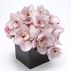 Orchids Composition