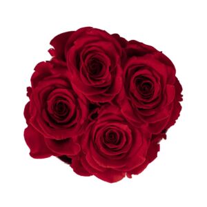 Red passion (small)